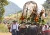 Romería de Teba 2026: horarios y recorrido del Camino del 23 de mayo