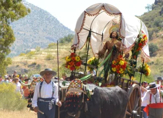 Romería de Teba 2026: horarios y recorrido del Camino del 23 de mayo