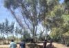 Continúan las obras de asfaltado en el Camino del Vivero de Ardales