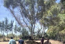 Continúan las obras de asfaltado en el Camino del Vivero de Ardales