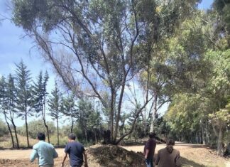 Continúan las obras de asfaltado en el Camino del Vivero de Ardales