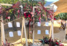 Adorna tu verano con La Gardenia