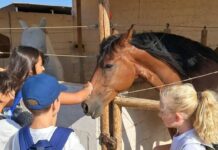 Equialia abre su campamento de verano para niños desde 4 años