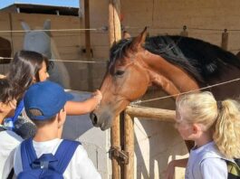 Equialia abre su campamento de verano para niños desde 4 años