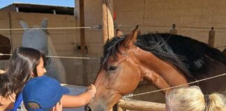 Equialia abre su campamento de verano para niños desde 4 años