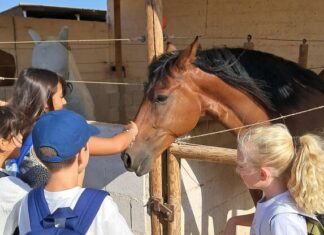 Equialia abre su campamento de verano para niños desde 4 años