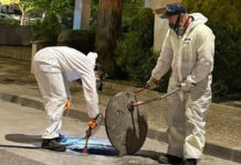 Antequera impulsa una campaña preventiva de control de cucarachas e insectos