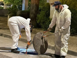 Antequera impulsa una campaña preventiva de control de cucarachas e insectos