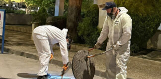 Antequera impulsa una campaña preventiva de control de cucarachas e insectos