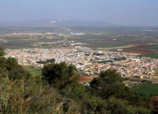 Polémica en Humilladero tras la muerte de un perro a causa de la pirotécnica en la celebración del mundial