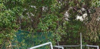 Asalto vandálico en la Piscina Municipal de Casabermeja