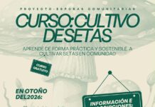 Esporas comunitarias, la iniciativa gratuita que impulsa el cultivo sostenible de setas en la comarca de Guadalteba