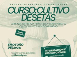 Esporas comunitarias, la iniciativa gratuita que impulsa el cultivo sostenible de setas en la comarca de Guadalteba