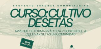 Esporas comunitarias, la iniciativa gratuita que impulsa el cultivo sostenible de setas en la comarca de Guadalteba