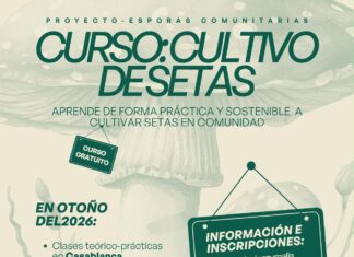 Esporas comunitarias, la iniciativa gratuita que impulsa el cultivo sostenible de setas en la comarca de Guadalteba