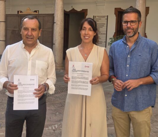 El PSOE pide un pase preferente en la Feria para personas con autismo, TDAH o hipersensibilidad