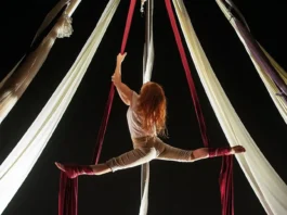 Flamenco, circo, gastronomía y música en la comarca de Antequera esta próxima semana