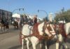 La romería a la Virgen de Gracia para en la cárcel de Archidona