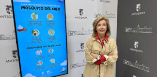 Antequera refuerza el aviso por el Nilo Occidental ante la situación en Andalucía