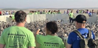 Naturaleza y fiesta se dan la mano este fin de semana en Fuente de Piedra