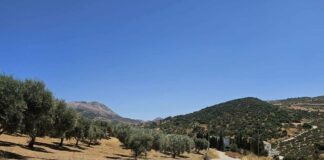 Villanueva de la Concepción continúa reparando sus caminos rurales