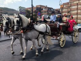Caballistas, porra antequerana y el concierto de El Duende Callejero marcarán el viernes de feria