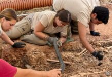 Exhumados los primeros restos de víctimas halladas en la segunda fosa común de Campillos