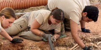 Exhumados los primeros restos de víctimas halladas en la segunda fosa común de Campillos