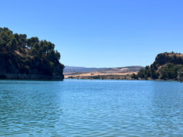 El Guadalteba suma un 77% más de agua que en 2025