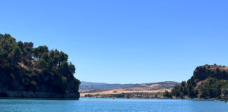 El Guadalteba suma un 77% más de agua que en 2025