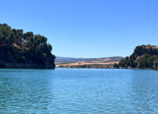El Guadalteba suma un 77% más de agua que en 2025