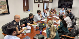 Antequera refuerza la coordinación institucional frente a la violencia de género en una Junta Local de Seguridad específica sobre VIOGEN