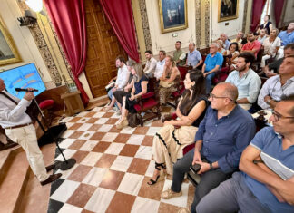 La remodelación integral de la alameda de Andalucía comenzará el 15 de septiembre