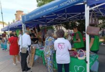 La Plataforma para la Promoción del Voluntariado celebra un Mercadillo Solidario en la Plaza Castilla