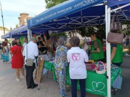 La Plataforma para la Promoción del Voluntariado celebra un Mercadillo Solidario en la Plaza Castilla