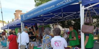 La Plataforma para la Promoción del Voluntariado celebra un Mercadillo Solidario en la Plaza Castilla