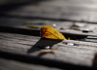 Campillos busca las mejores imágenes del otoño en el X Concurso de Fotografía «Pedro Martín Llamas»