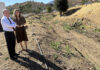 Antequera prepara sus arroyos para las lluvias con la limpieza de cinco tramos urbanos