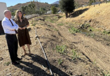 Antequera prepara sus arroyos para las lluvias con la limpieza de cinco tramos urbanos