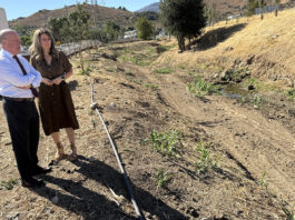 Antequera prepara sus arroyos para las lluvias con la limpieza de cinco tramos urbanos