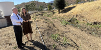 Antequera prepara sus arroyos para las lluvias con la limpieza de cinco tramos urbanos