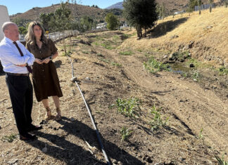 Antequera prepara sus arroyos para las lluvias con la limpieza de cinco tramos urbanos