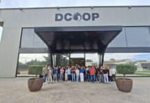 Más de cien profesionales de las almazaras de Dcoop se forman en cata para afinar la calidad del aceite esta campaña