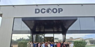 Más de cien profesionales de las almazaras de Dcoop se forman en cata para afinar la calidad del aceite esta campaña
