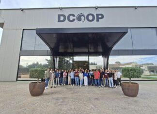 Más de cien profesionales de las almazaras de Dcoop se forman en cata para afinar la calidad del aceite esta campaña