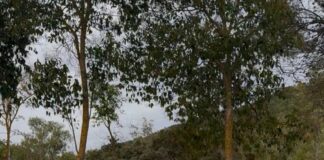 Humilladero instala un banco gigante en el mirador de la Sierrecilla