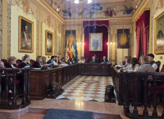 El Pleno de Antequera guarda un minuto de silencio por la tragedia de Toledo y designa las mesas electorales para el 29N