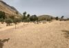 Antequera cierra su Plan de Desbroce 2026 con más de 300.000 metros cuadrados limpios en barrios y anejos