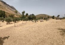 Antequera cierra su Plan de Desbroce 2026 con más de 300.000 metros cuadrados limpios en barrios y anejos