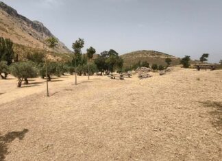 Antequera cierra su Plan de Desbroce 2026 con más de 300.000 metros cuadrados limpios en barrios y anejos